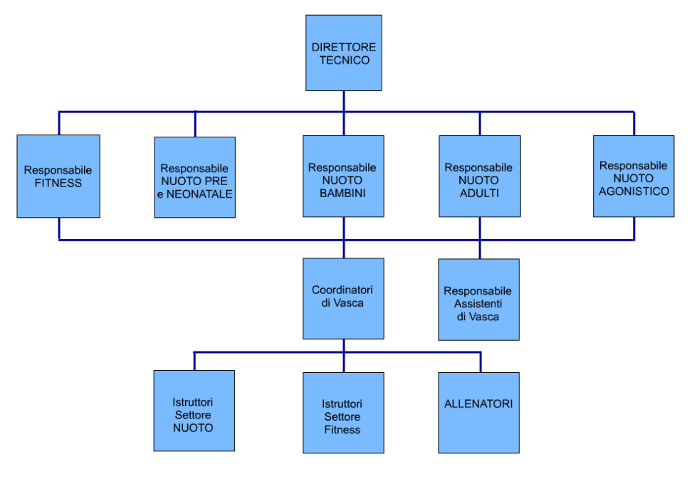 L'organigramma Tecnico del Centro Natatorio Moderno Ideale